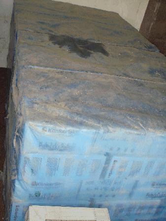 Klinker Sire Sabbia R11 - 245*120*19mm