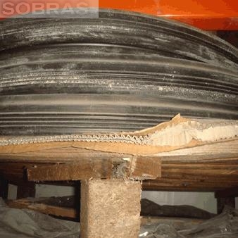 Bettor GP 25W - Basf