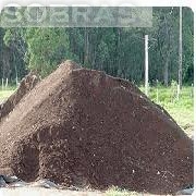 Terra Vegetal
